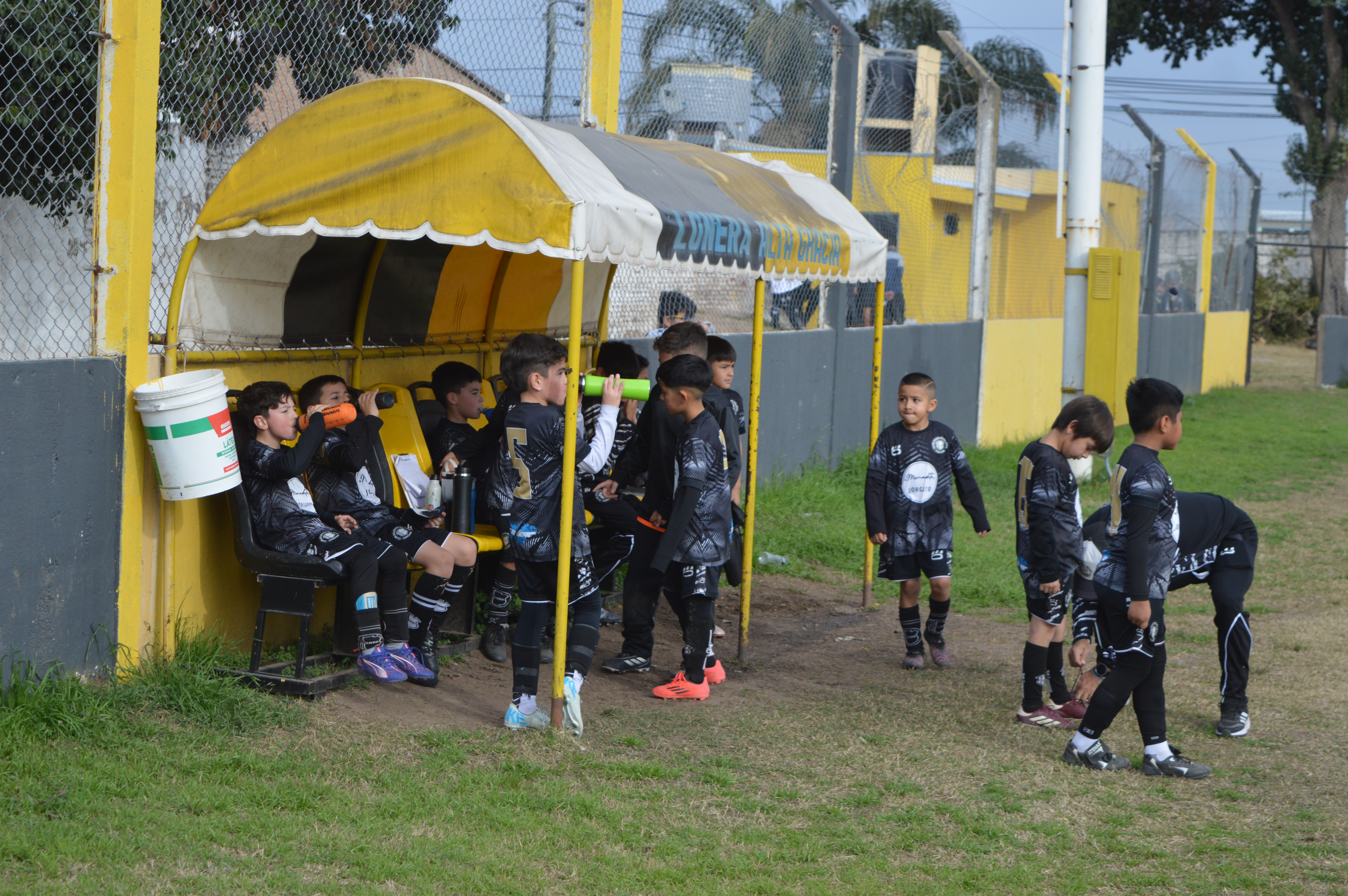 Imagen 3